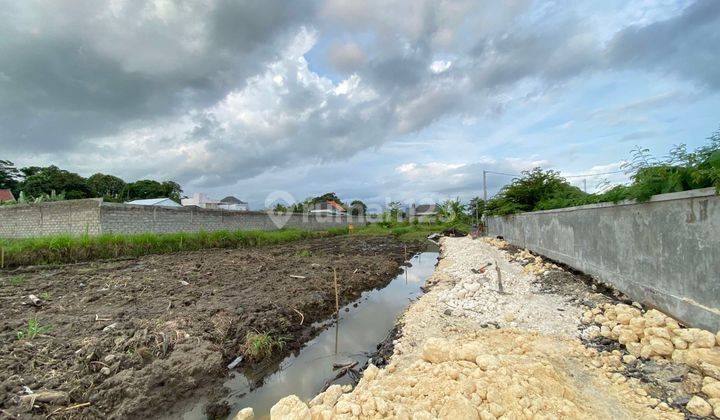  Miliki Tanah Kavling Impian di Tedung, Abianbase, Gianyar Dengan Pemandangan Sawah Hijau Yang Memukau