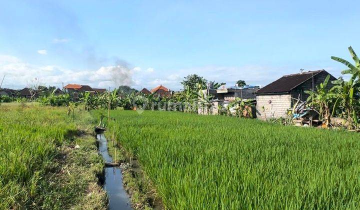 Land For Sale Tanah Kavling Ekslusive View Hamparan Sawah di Kesiman Kertalangu, Denpasar Timur 2