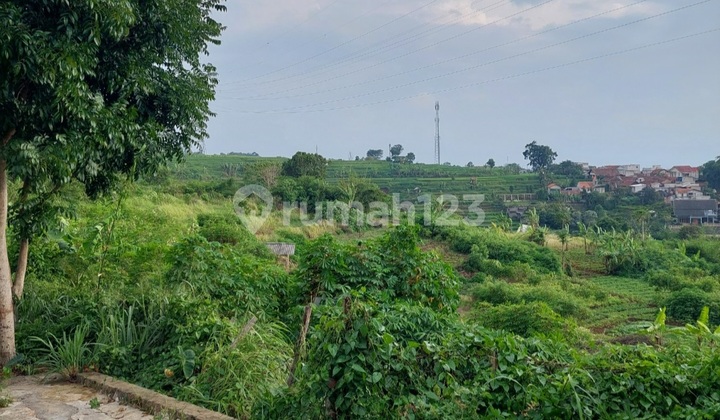 Dijual Tanah Dibawah Njop