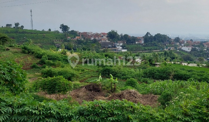 Dijual Tanah Dibawah Njop