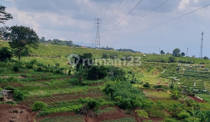 Plot of Land for Sale in Bandung Housing Estate