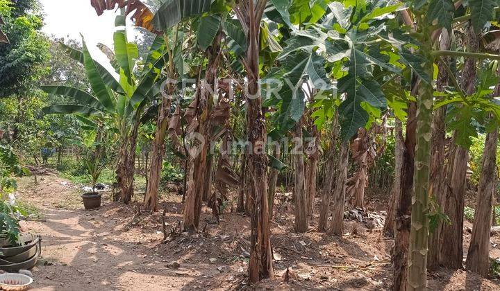 Jual Cepat Harga NJOP Cocok Investasi Daerah Berkembang 2