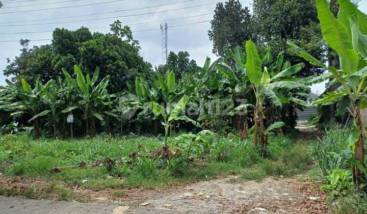Sebidang Tanah Siap Bangun/PAKAI - Lokasi : Cinangka , Sawangan ~ Depok.