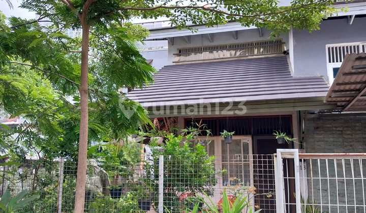 Rumah Idaman & Nyaman Di Taman Pegangsaan Indah Kelapa Gading