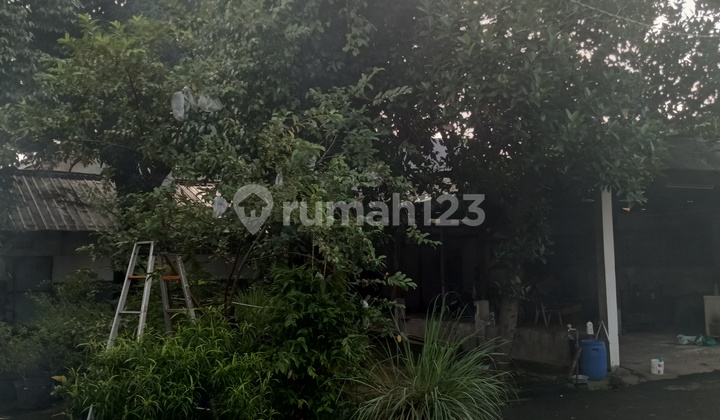 Land Adjacent to Main Asphalt Road & Former Sock Factory Building Land Adjacent to Main Asphalt Road & Former Sock Factory Building