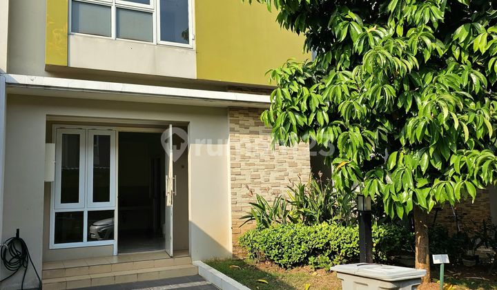 Rumah Bagus SHM Dalam Cluster Thomson Gading Serpong Rumah Bagus SHM Dalam Cluster Thomson Gading Serpong