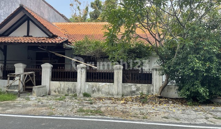 Rumah Di Kemayoran Butuh Renovasi. Hanya Jual Tanah 2