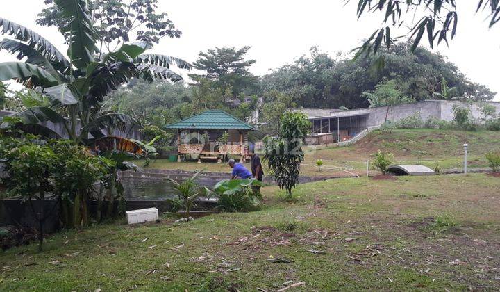 Di Jual Tanah Dan Kebun, Pesona Alam di Rumpin, Bogor 1