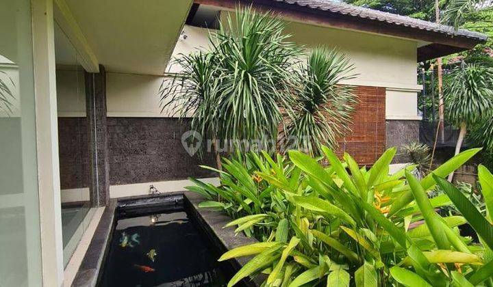 RUMAH TROPIS 1,5 LT Luas, Mewah, Modern, dan Asri di Jalan Utama 2