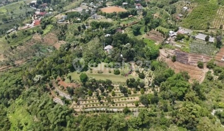 Tanah Kebun Produktif Cijeruk Bogor SHM 3,5Ha Ada Villa Tanah Kebun Produktif Cijeruk Bogor SHM 3,5Ha Ada Villa