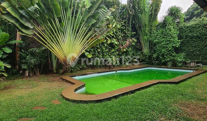 Rumah Tua Kemang LT 776 Kolam Renang Area Tenang SHM Nego