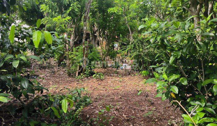 SURE CLOSING FOR SALE LAND IN UNGASAN LOCATION, SOUTH KUTA, BADUNG 1