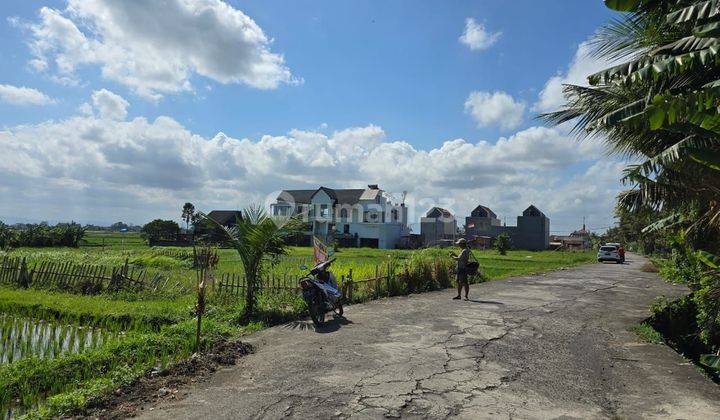 SOSO SO PASTI DI JUAL TANAH VIEW SAWAH LOKASI NYANYI BERABAN KEDIRI TABANAN 2