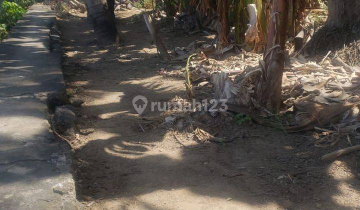 PASTI DEAL DEH 
DI JUAL TANAH LOSS SUNGAI VIEW LAUT LOKASI SABA BLAHBATUH GIANYAR 2