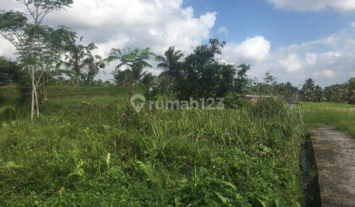 PASTI DEAL 
DI JUAL TANAH VIEW SAWAH PINGGIR JALAN LIKASI SEBATU TEGALLALANG UBUD GIANYAR  2