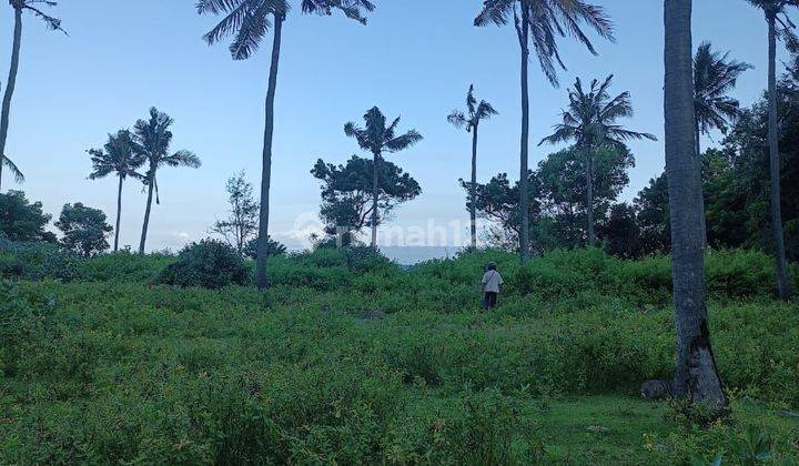 DEFINITELY DEAL FOR SALE LOSS BEACH SEA VIEW LAND LOCATION PADANG BAI MANGGIS KARANGASEM 2