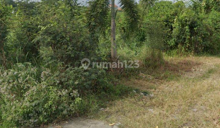 Dijual tanah lokasi jalan pantai mecasti medahan blahbatuh 2