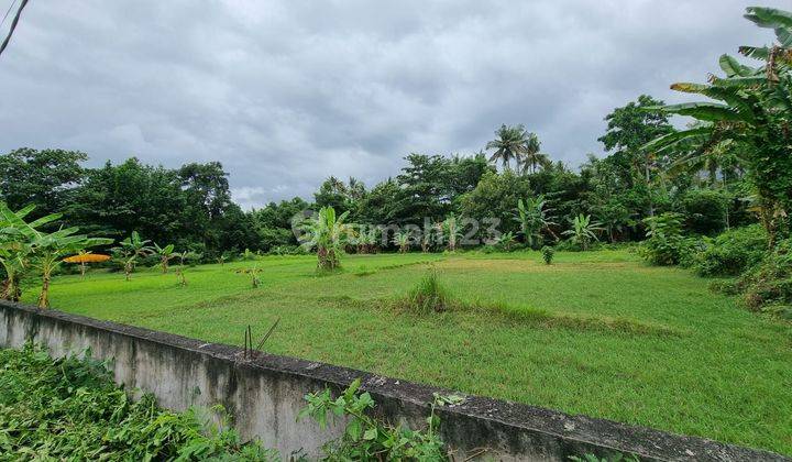 DEFINITELY A DEAL FOR LAND FOR SALE IN THE GEROKGAK SINGARAJA BULELENG LOCATION 1