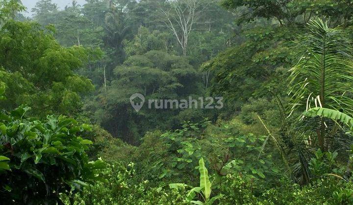 PASTI DEAL DI JUAL TANAH VIEW LEMBAH & SUNGAI LOKASI TARO TEGALLALANG UBUD GIANYAR  2