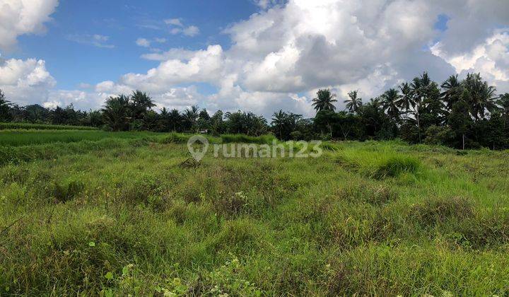 PASTI DEAL DI JUAL TANAH VIEW HUTAN & SAWAH LOKASI PEJENG UBUD GIANYAR 
 1