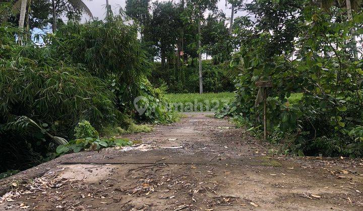 PASTI DEAL DI JUAL TANAH VIEW HUTAN & SAWAH LOKASI PEJENG UBUD GIANYAR 
 2