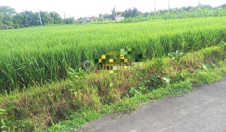 DEFINITELY A DEAL ON SALE OF LAND LOCATION KETEWEL GIANYAR  1