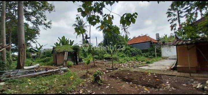 PASTI DEAL DI JUAL TANAH LOKASI BATUAN UBUD GIANYAR  2