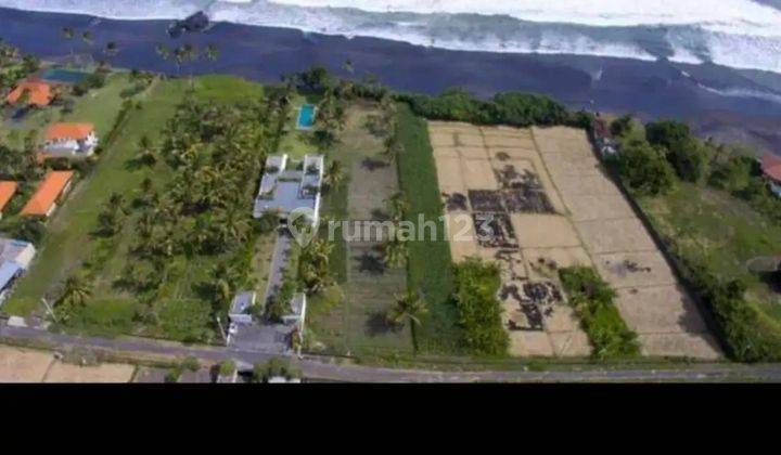 DEFINITELY A DEAL FOR SALE LOSS BEACH VIEW SEA LOCATION TIDAL LOCATION KERAMBITAN TABANAN 2