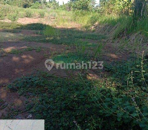 SURE DEAL ON LAND FOR SALE LOCATION PANDAK GEDE KEDIRI TABANAN  1