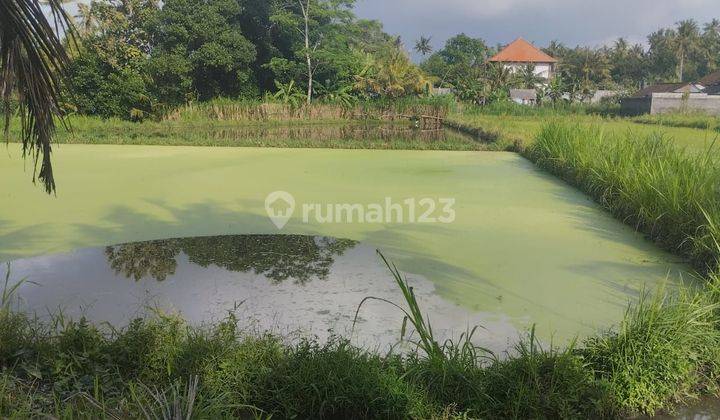 PASTI DEAL DI JUAL TANAH PINGGIR JALAN LOKASI PERING BLAHBATUH GIANYAR  2