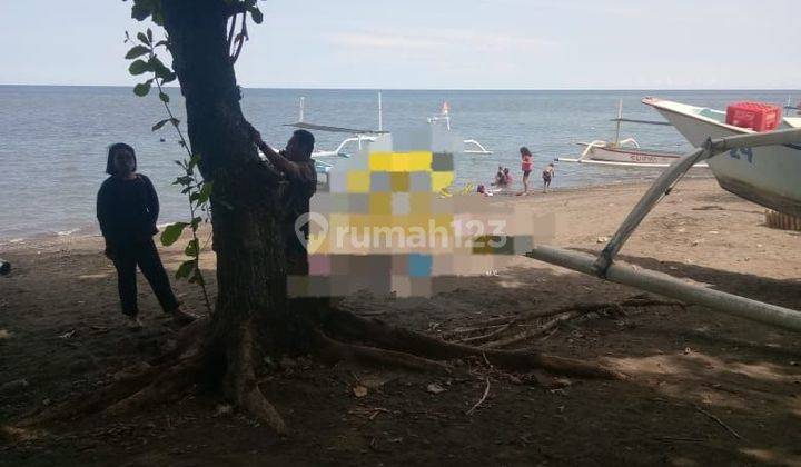 PASTI DEAL DI JUAL TANAH LOSS PANTAI VIEW LAUT LOKASI LOVINA BULELENG
 2