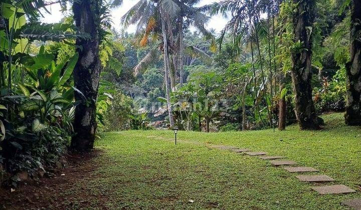 SURE DEAL ON SALE LAND BONUS BUILDING VIEW VALLEY LOCATION PEJENG UBUD GIANYAR  2