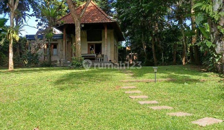 SURE DEAL ON SALE LAND BONUS BUILDING VIEW VALLEY LOCATION PEJENG UBUD GIANYAR  1