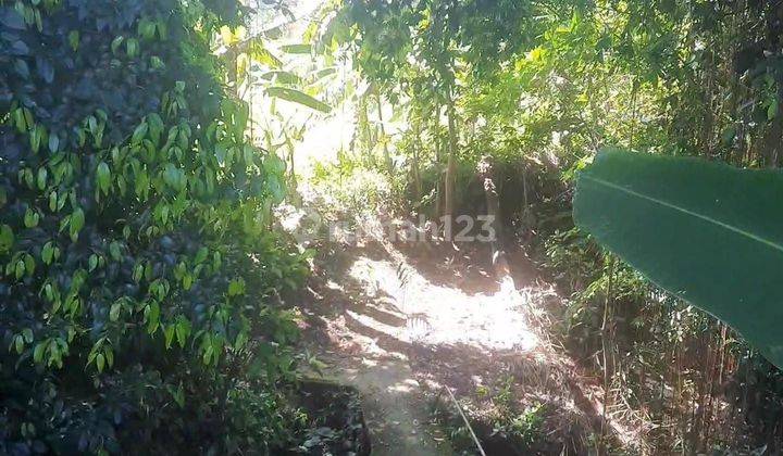 PASTI DEAL DI JUAL TANAH VIEW SAWAH LOKASI NYAMBU KABA KABA KEDIRI TABANAN  1