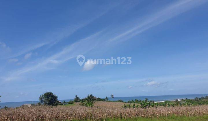 PASTI DEAL DI JUAL TANAH VIEW LAUT & SAWAH LOKASI KLECUNG TEGAL MENGKEB TABANAN 
 2