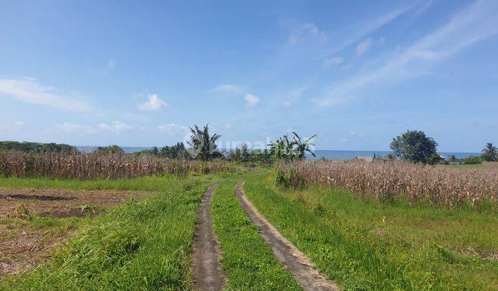 DEFINITELY A DEAL FOR SALE LAND WITH SEA & RICE VIEW LOCATION KLECUNG TEGAL MEMKEB TABANAN 
 1