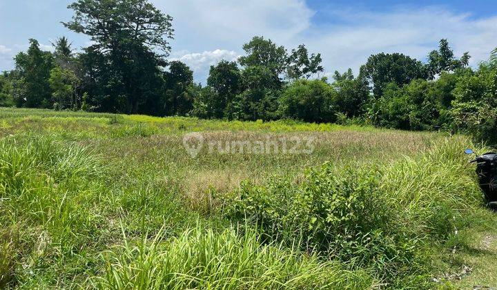 SURE DEAL ON LAND FOR SALE LOCATION PERING SABA BLAHBATUH GIANYAR 
 2