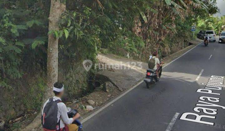 PASTI DEAL DI JUAL TANAH VIEW SAWAH PINGGIR JALAN LOKASI TEGALLALANG UBUD GIANYAR 
 1