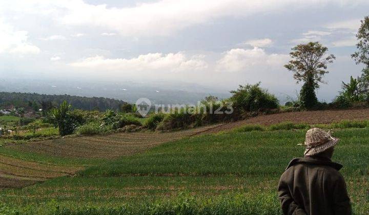 PASTI DEAL DI JUAL TANAH LOKASI CANDIKUNING BEDUGUL TABANAN  1