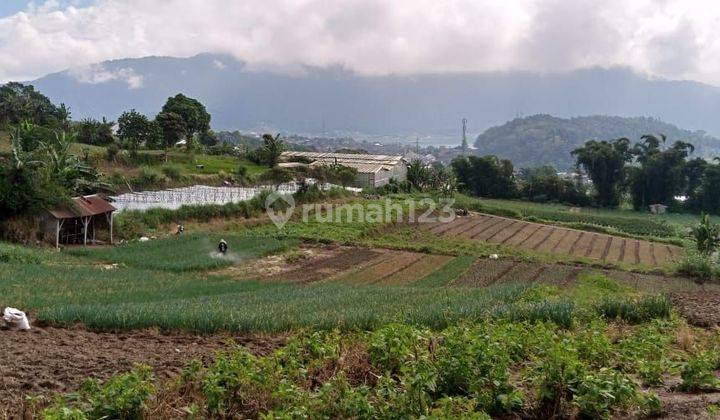 PASTI DEAL DI JUAL TANAH LOKASI CANDIKUNING BEDUGUL TABANAN  2