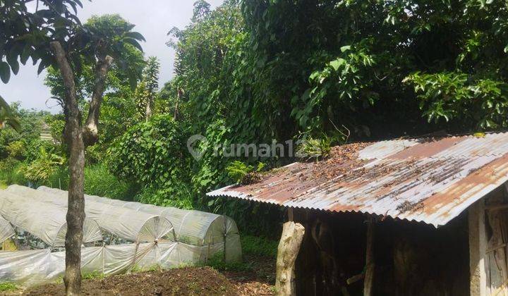 SURE DEAL ON SALE OF LAND LOCATION CANDIKUNING BEDUGUL TABANAN 
 1