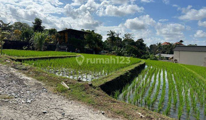 DEFINITELY A DEAL FOR RENT OF LAND IN BERABAN SINGING LOCATION KEDIRI TABANAN  1