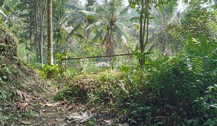 SURE DEAL FOR SALE LAND LOSS SUNGAI VIEW VALLEY & FOREST LOCATION TEGALLALANG UBUD GIANYAR 
 2