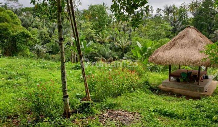 SURE DEAL FOR SALE RIVER VIEW LAND LOCATION PUPUAN TEGALLALANG UBUD GIANYAR 1