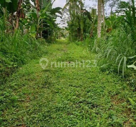 SURE DEAL FOR SALE RIVER VIEW LAND LOCATION PUPUAN TEGALLALANG UBUD GIANYAR 2