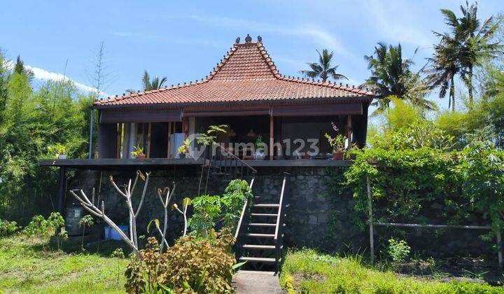 PASTI DEAL DI JUAL RUMAH JOGLO VIEW SAWAH & HUTAN LOKASI PEJENG UBUD GIANYAR 
 1