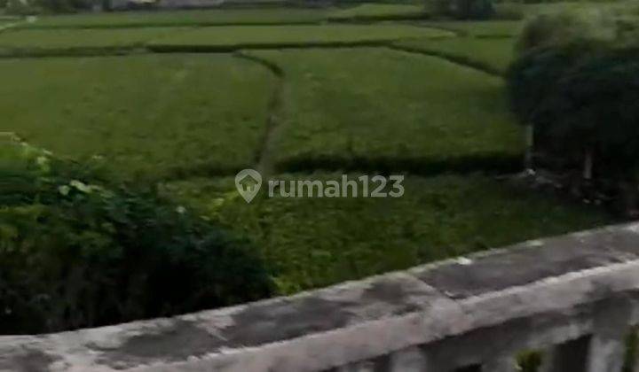 PASTI DEAL 
DI JUAL TANAH VIEW LAUT & SAWAH LOKASI MASCETI MEDAHAN GIANYAR  1