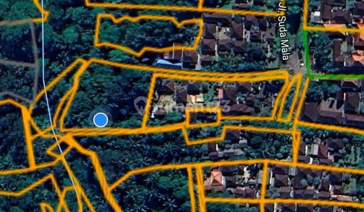 SURE DEAL FOR SALE LAND VIEW SUNGAI & FOREST LOCATION KELUSA PAYANGAN UBUD GIANYAR  1