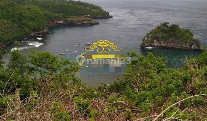 DEFINITELY A DEAL FOR SALE LOSS CLIFF VIEW SEA LOCATION LOCATION SAKTI NUSA PENIDA KLUNGKUNG  1