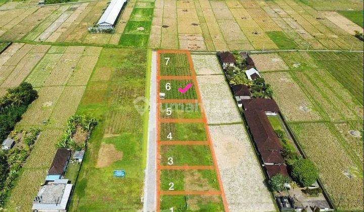 SURE DEAL ON LAND FOR SALE KAVLING LOCATION KEDUNGU KEDIRI TABANAN 1